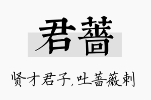 君蔷名字的寓意及含义