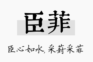 臣菲名字的寓意及含义