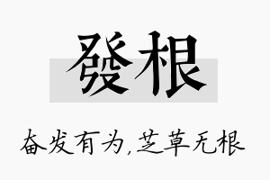 发根名字的寓意及含义