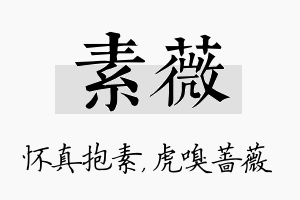 素薇名字的寓意及含义