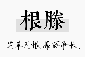 根滕名字的寓意及含义