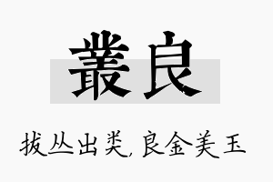 丛良名字的寓意及含义