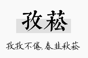 孜菘名字的寓意及含义