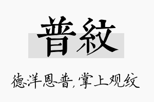 普纹名字的寓意及含义