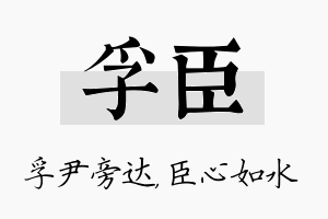 孚臣名字的寓意及含义