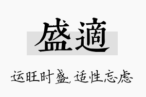 盛适名字的寓意及含义