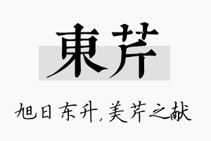 东芹名字的寓意及含义