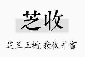 芝收名字的寓意及含义