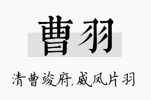 曹羽名字的寓意及含义