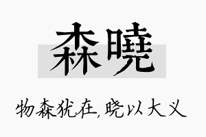 森晓名字的寓意及含义