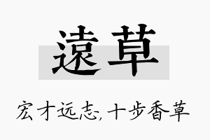 远草名字的寓意及含义