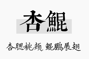 杏鲲名字的寓意及含义