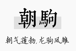 朝驹名字的寓意及含义