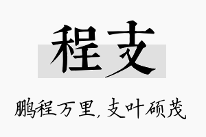 程支名字的寓意及含义