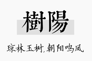 树阳名字的寓意及含义