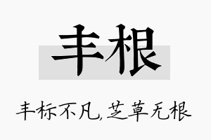 丰根名字的寓意及含义