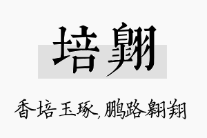 培翱名字的寓意及含义