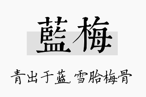 蓝梅名字的寓意及含义