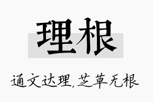 理根名字的寓意及含义