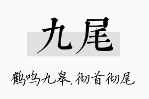 九尾名字的寓意及含义