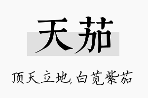 天茄名字的寓意及含义