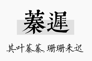 蓁迟名字的寓意及含义