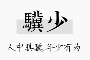 骥少名字的寓意及含义