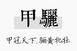 甲骊名字的寓意及含义