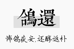 鸽还名字的寓意及含义