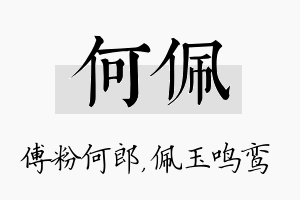 何佩名字的寓意及含义