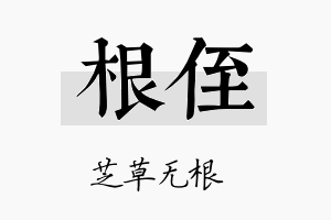 根侄名字的寓意及含义