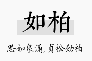 如柏名字的寓意及含义