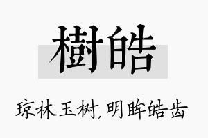 树皓名字的寓意及含义