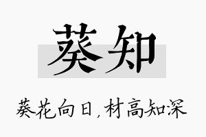 葵知名字的寓意及含义