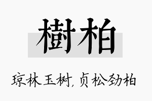 树柏名字的寓意及含义