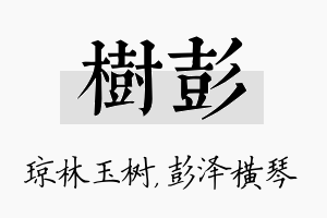 树彭名字的寓意及含义