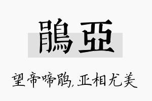 鹃亚名字的寓意及含义