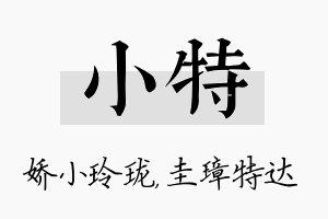 小特名字的寓意及含义