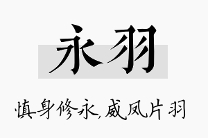 永羽名字的寓意及含义