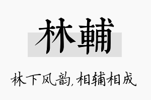 林辅名字的寓意及含义