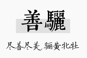 善骊名字的寓意及含义