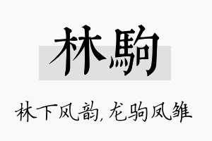 林驹名字的寓意及含义