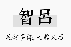 智吕名字的寓意及含义