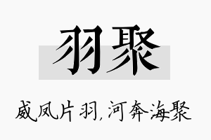 羽聚名字的寓意及含义