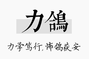 力鸽名字的寓意及含义