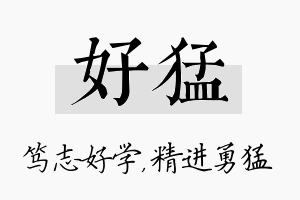 好猛名字的寓意及含义