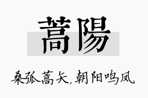 蒿阳名字的寓意及含义