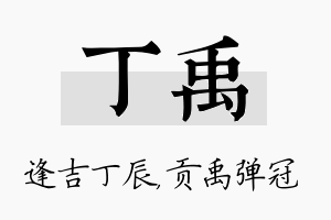 丁禹名字的寓意及含义