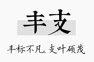 丰支名字的寓意及含义