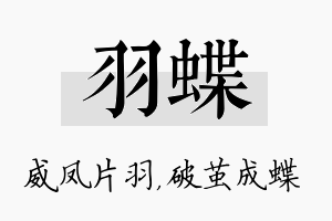 羽蝶名字的寓意及含义